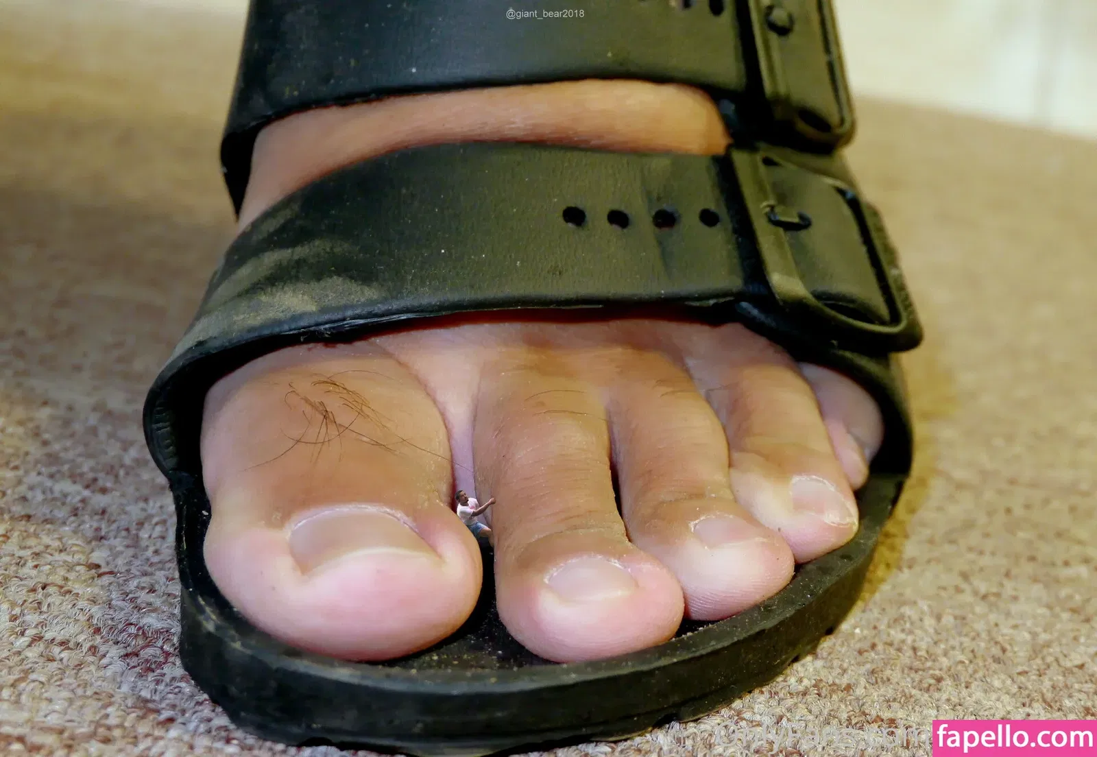 wild-boar-giant Onlyfans Photo Gallery 