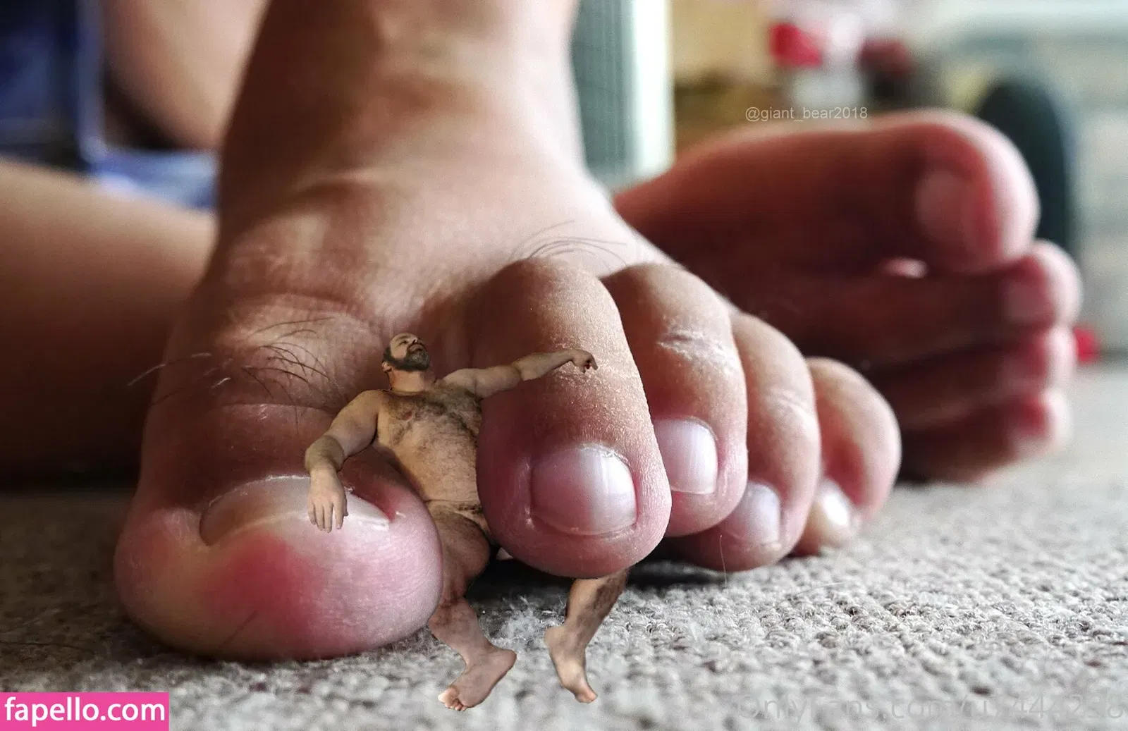 wild-boar-giant Onlyfans Photo Gallery 