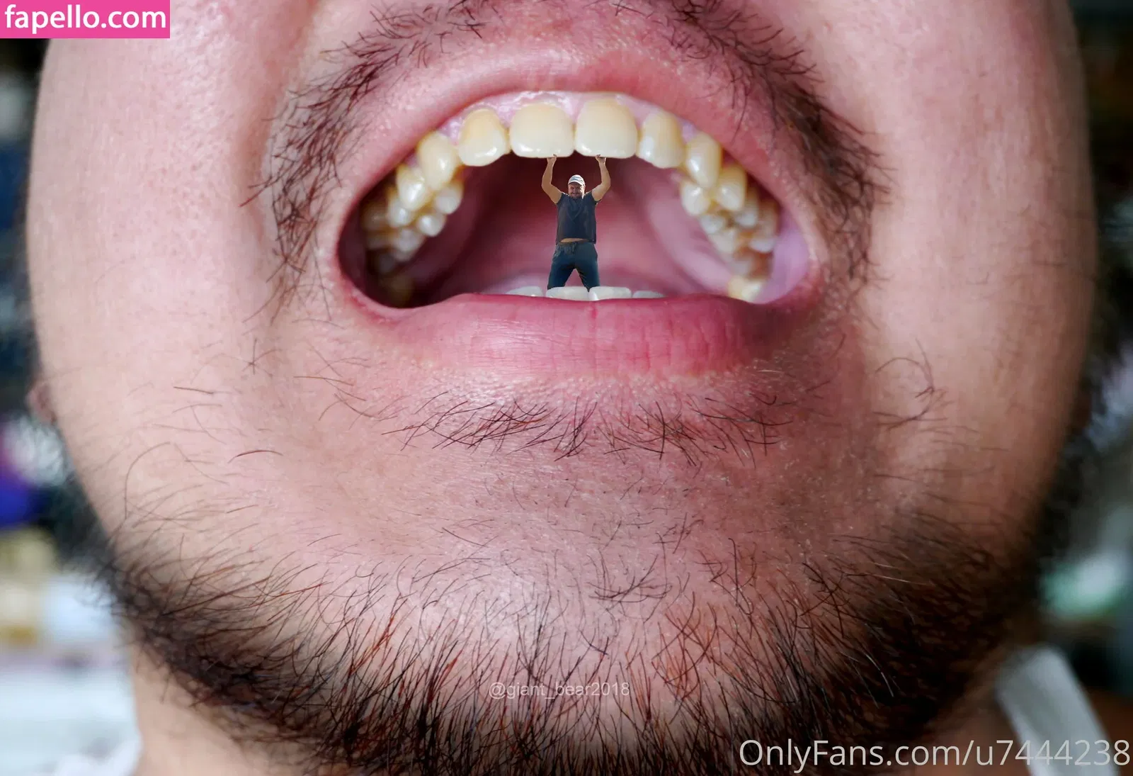 wild-boar-giant Onlyfans Photo Gallery 