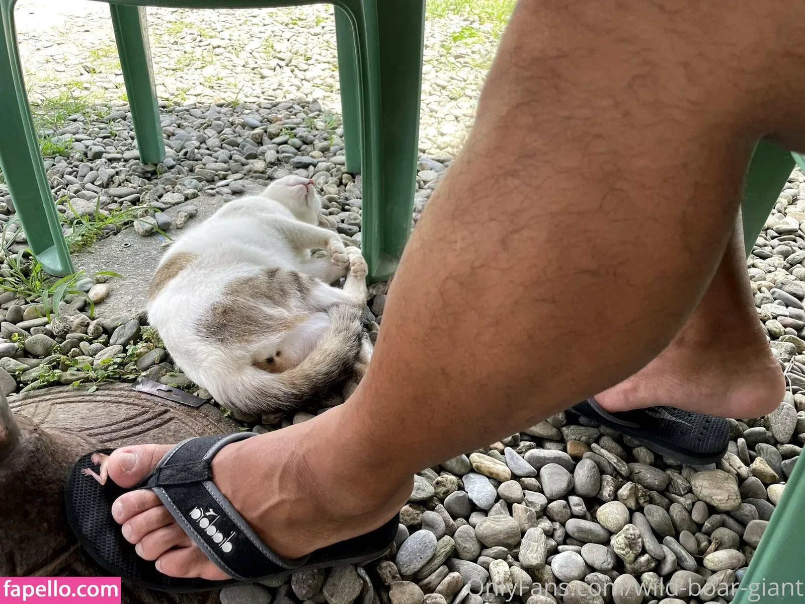 wild-boar-giant Onlyfans Photo Gallery 