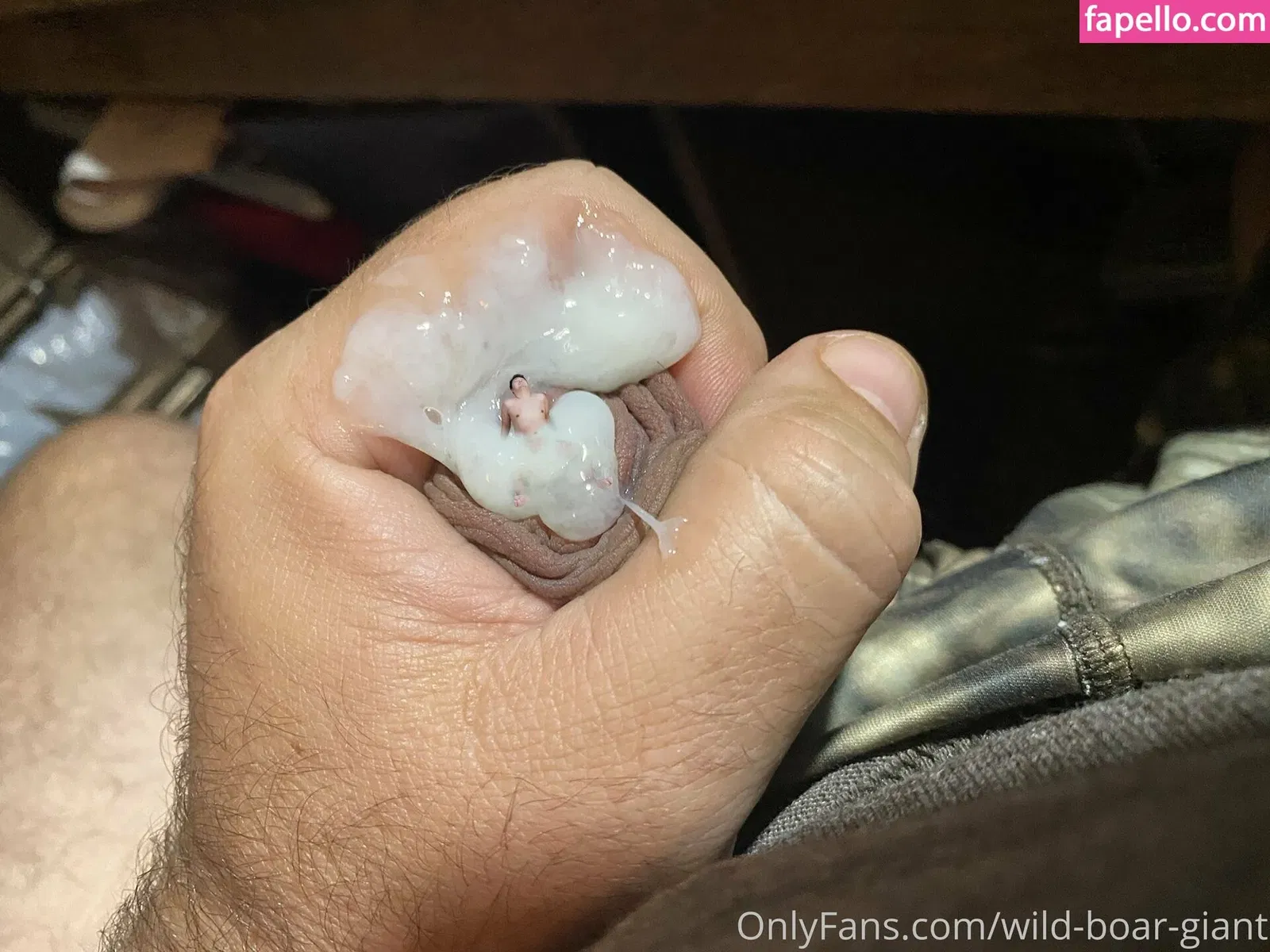 wild-boar-giant Onlyfans Photo Gallery 