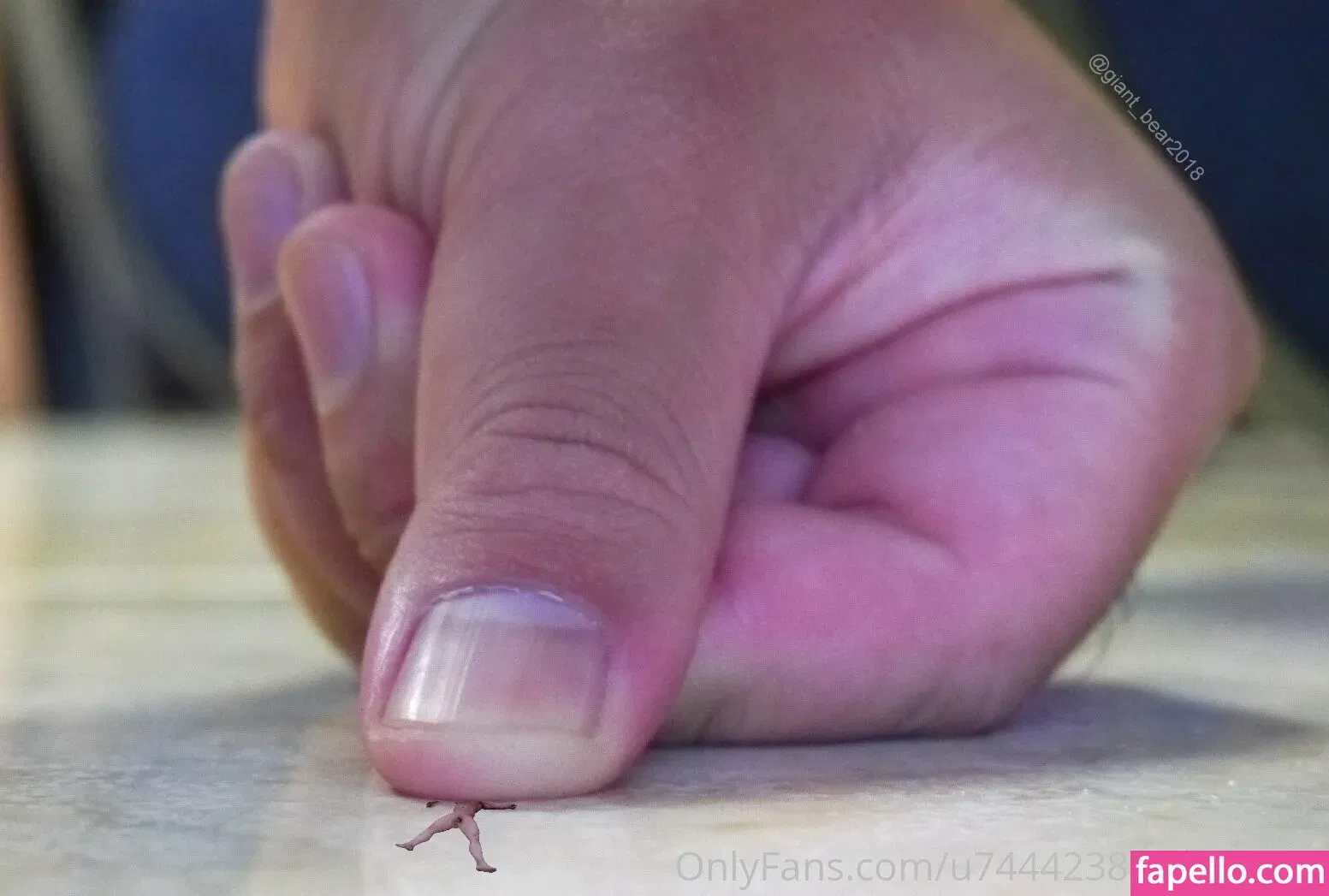 wild-boar-giant Onlyfans Photo Gallery 