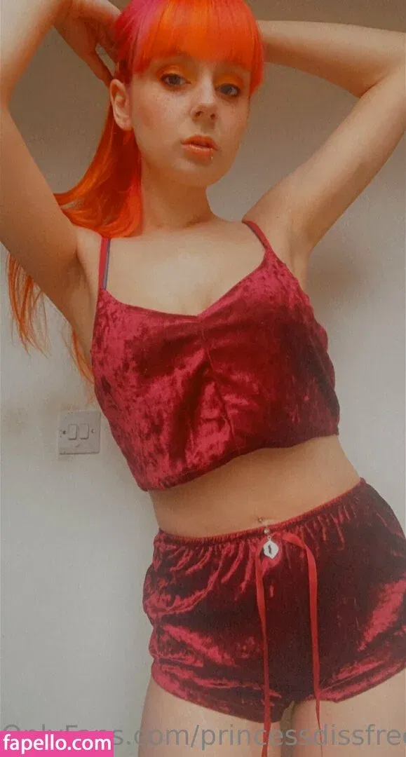 princessdissfree Onlyfans Photo Gallery 