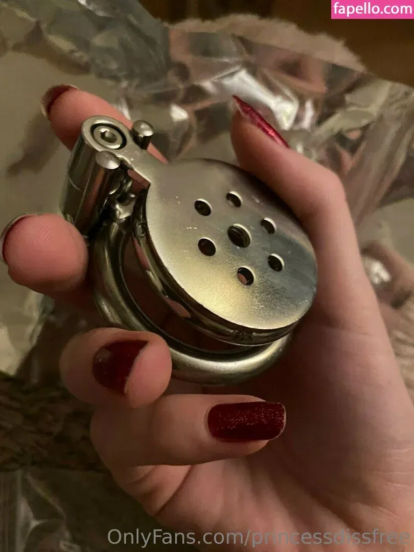 princessdissfree Onlyfans Photo Gallery 