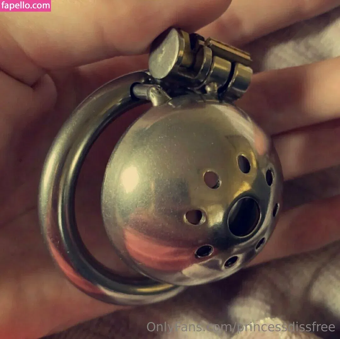 princessdissfree Onlyfans Photo Gallery 