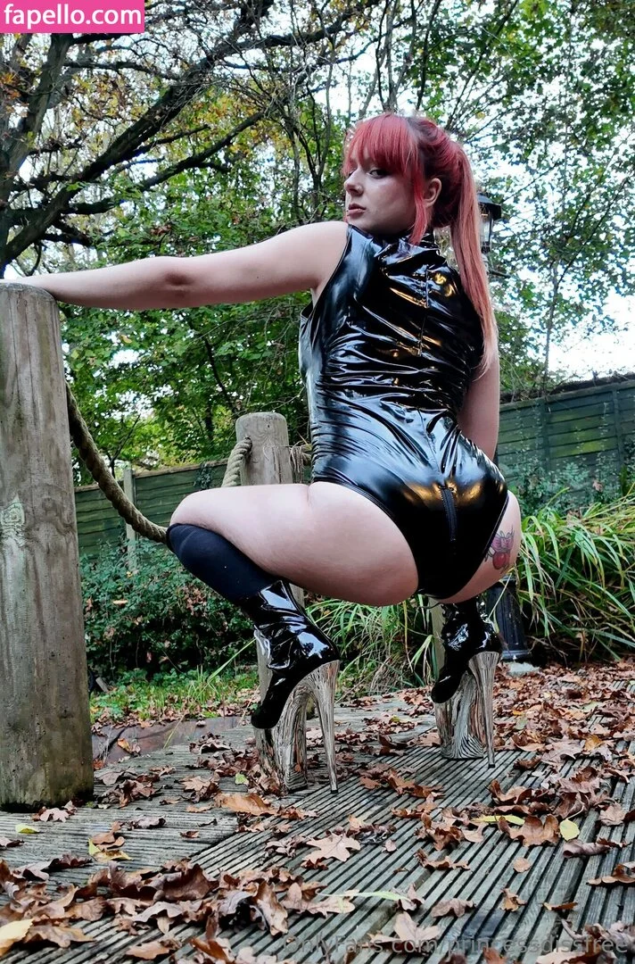 princessdissfree Onlyfans Photo Gallery 