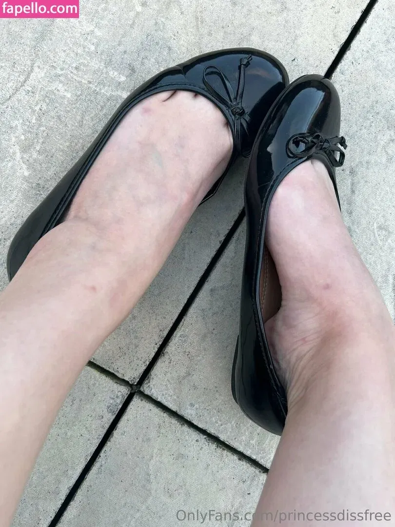 princessdissfree Onlyfans Photo Gallery 