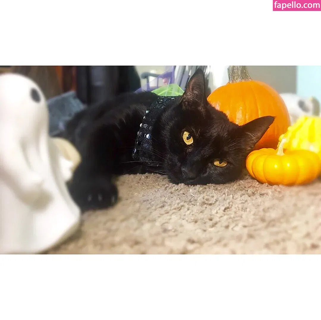 Charlotte Godoy Onlyfans Photo Gallery 