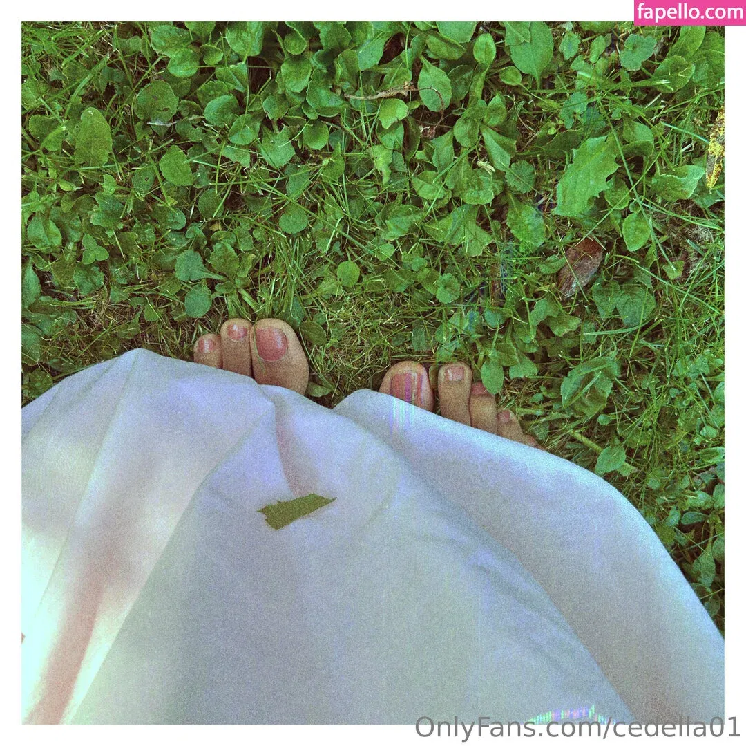 cedella01 Onlyfans Photo Gallery 