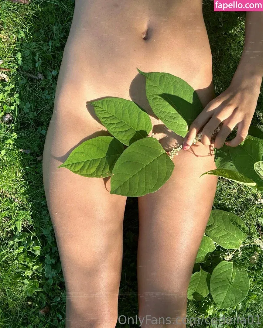 cedella01 Onlyfans Photo Gallery 