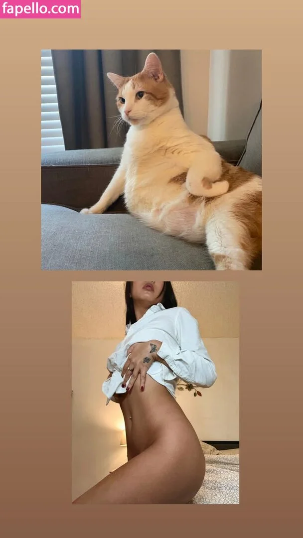 Kylie Cheung Onlyfans Photo Gallery 