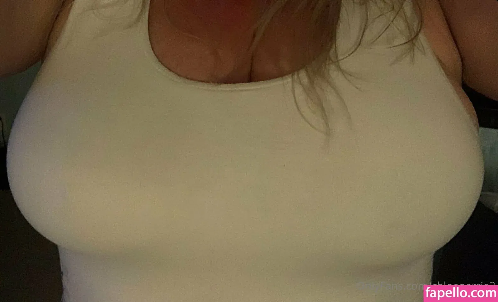 chloeperrie2 Onlyfans Photo Gallery 