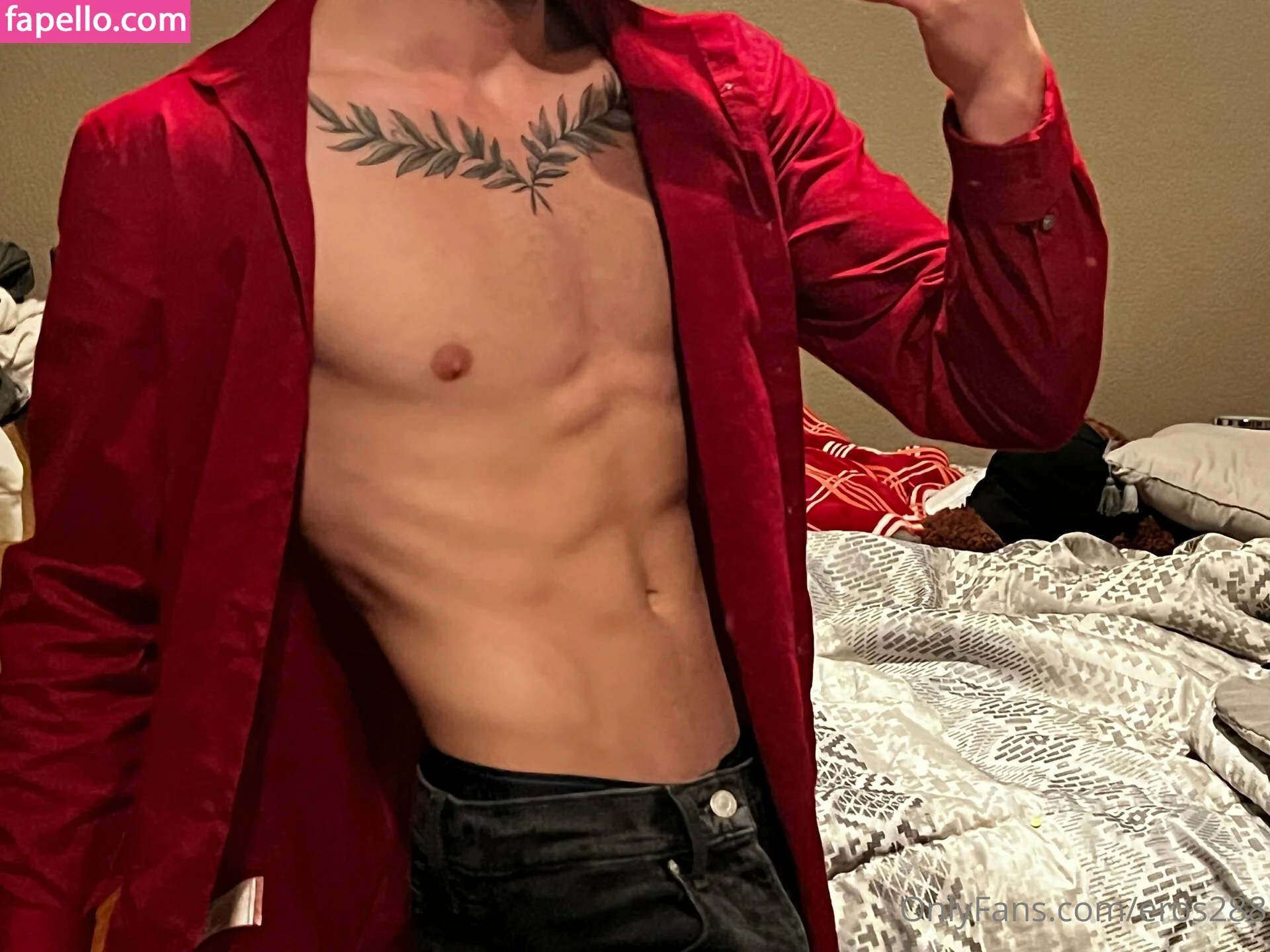 eros288 Onlyfans Photo Gallery 