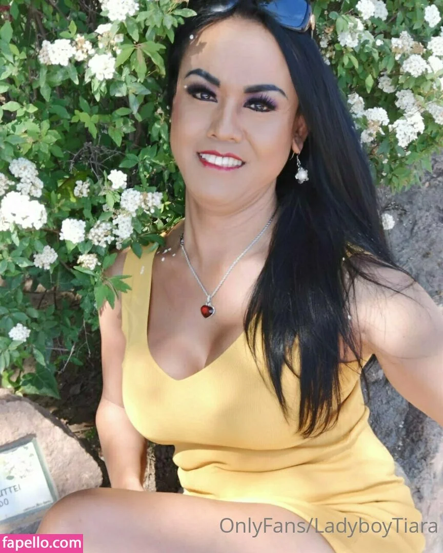 ladyboytiara Onlyfans Photo Gallery 