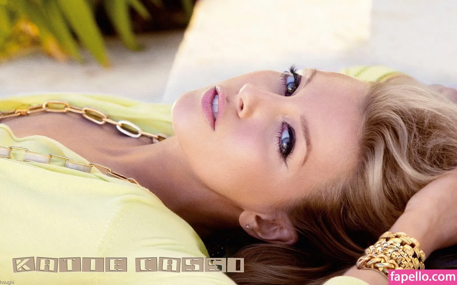 Katie Cassidy Onlyfans Photo Gallery 