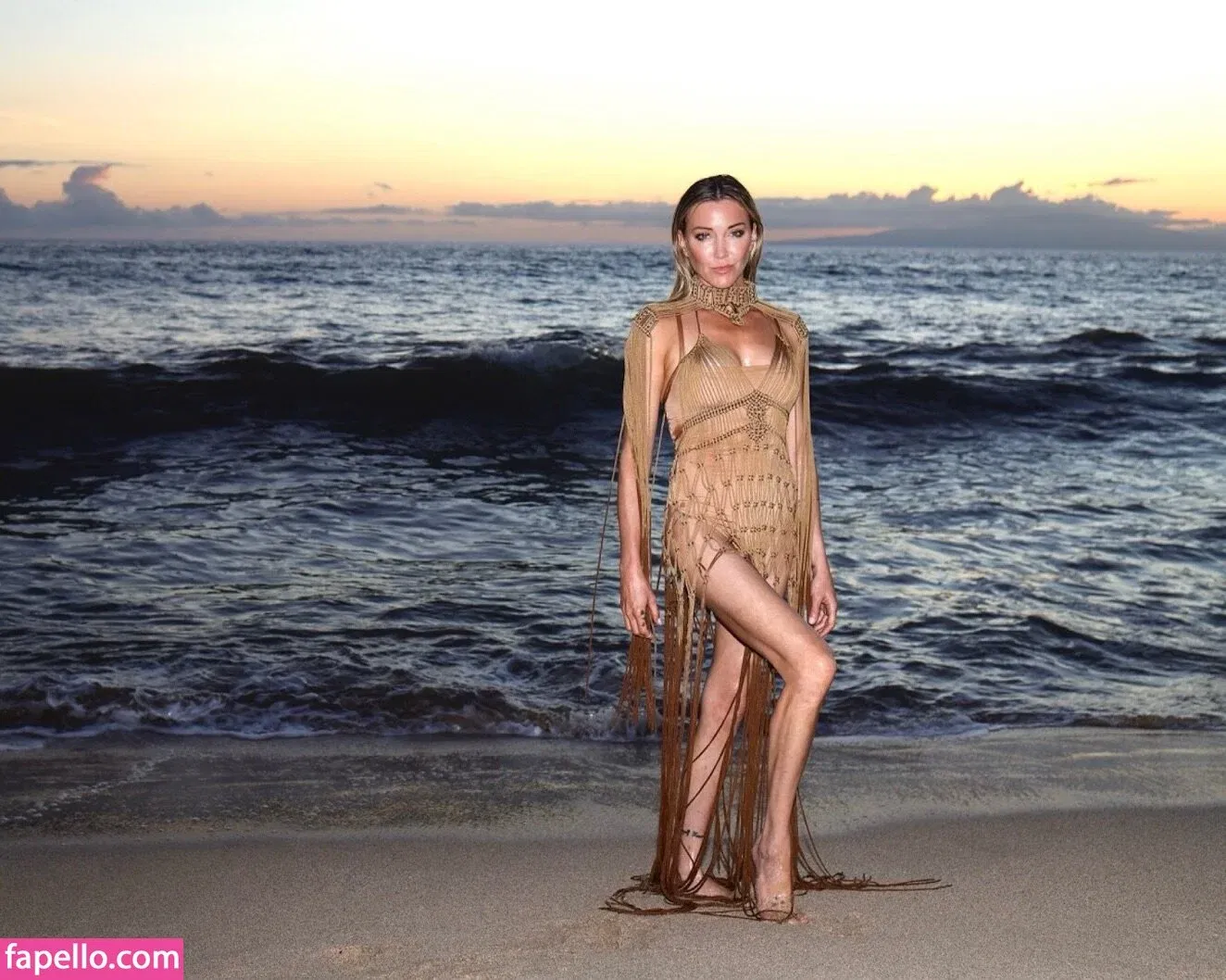 Katie Cassidy Onlyfans Photo Gallery 