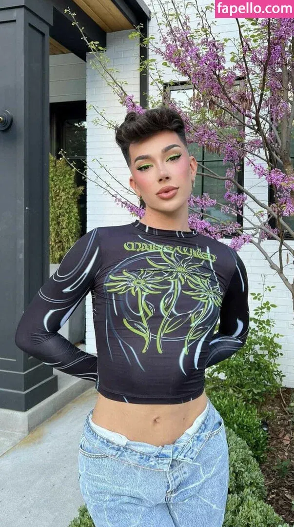 James Charles Onlyfans Photo Gallery 