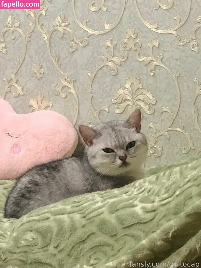 azumilovv Onlyfans Photo Gallery 