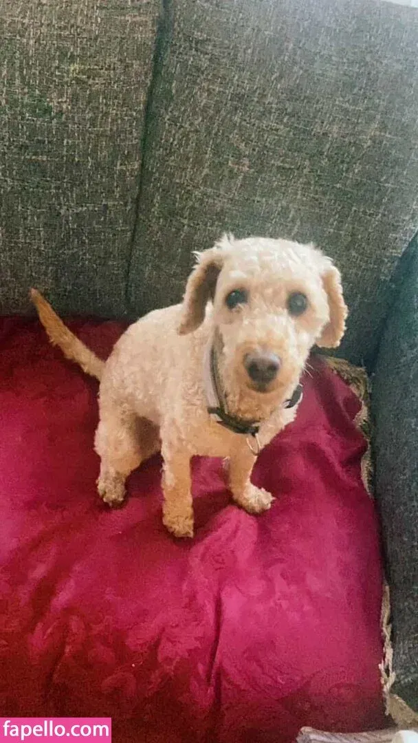 Stephanie Bebb Onlyfans Photo Gallery 