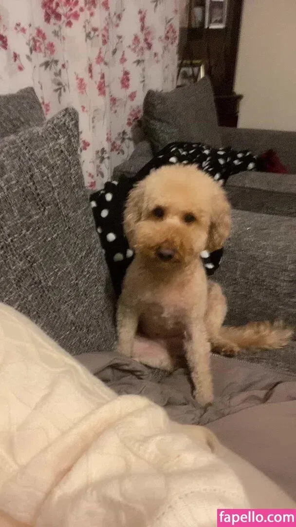 Stephanie Bebb Onlyfans Photo Gallery 