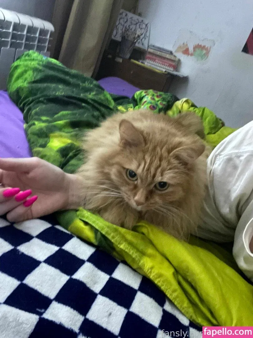 CateKate Onlyfans Photo Gallery 