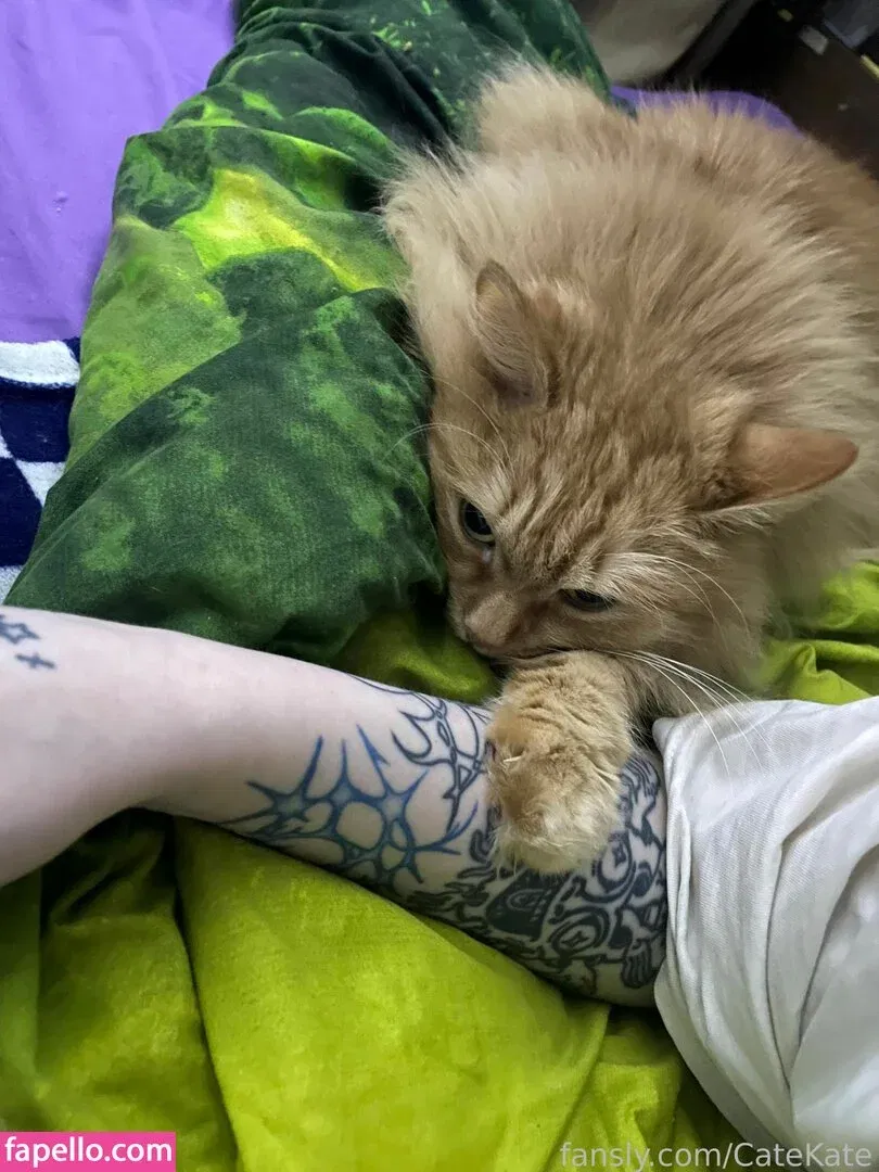 CateKate Onlyfans Photo Gallery 