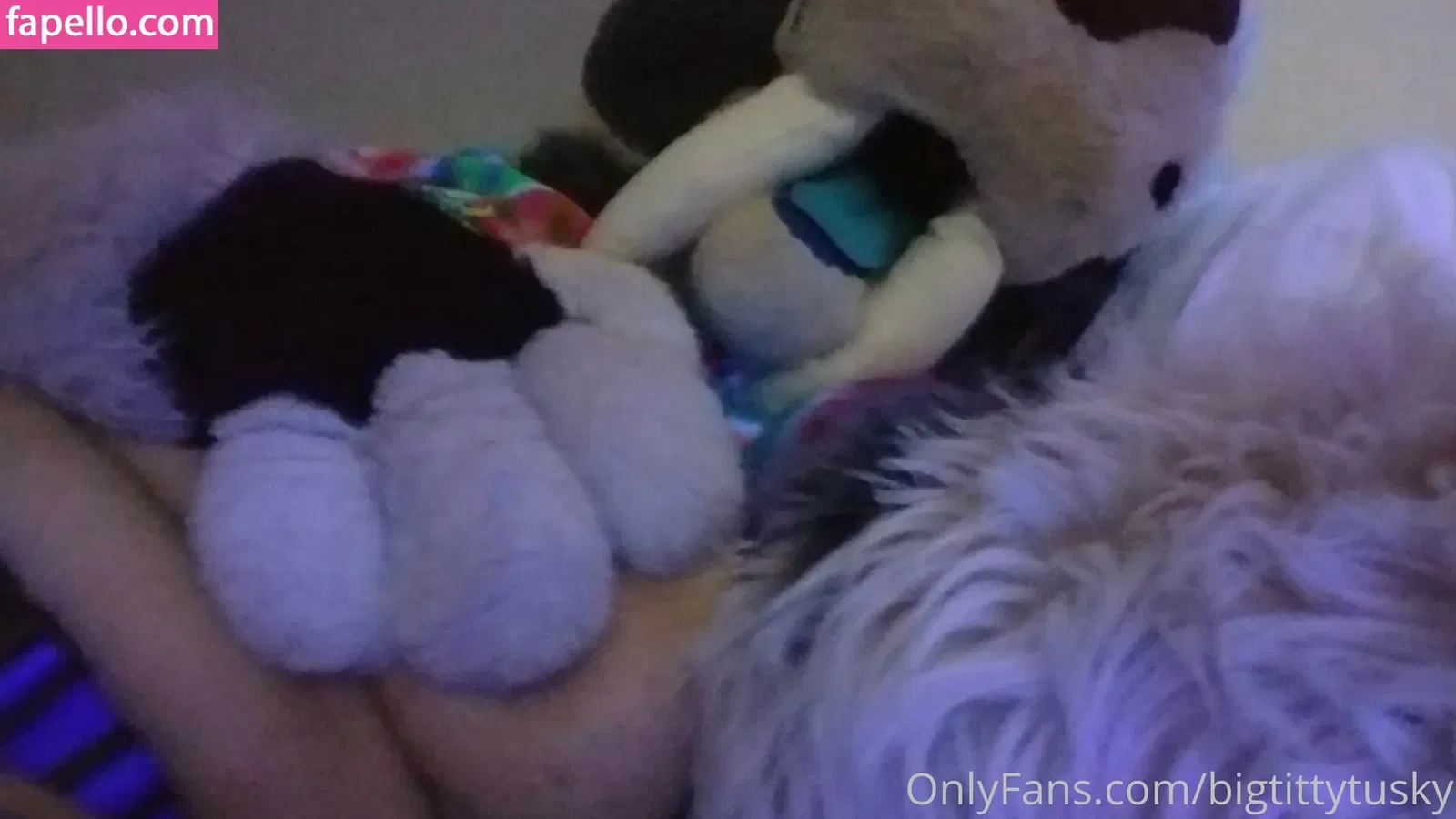 bigtittytusky Onlyfans Photo Gallery 