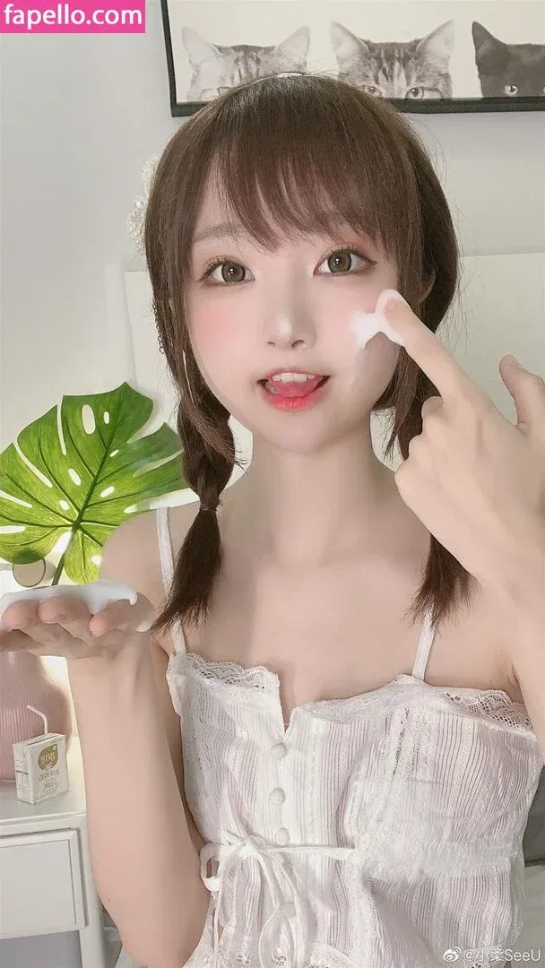 seeuxiaorou Onlyfans Photo Gallery 