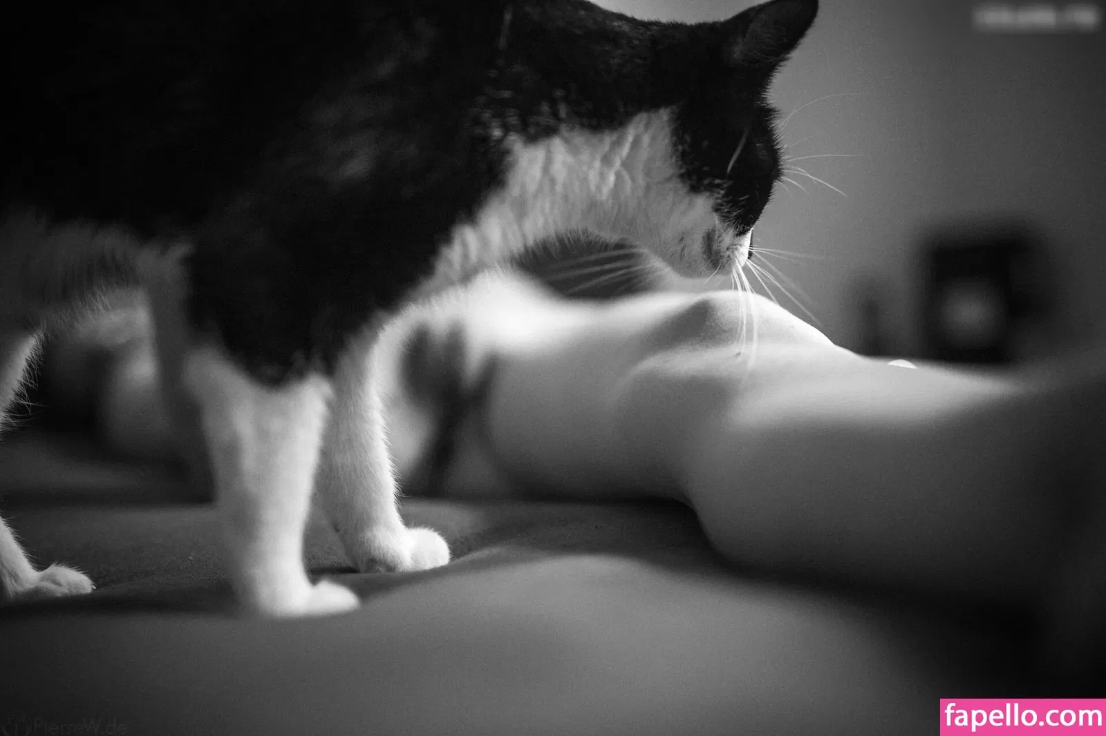 Grinsebaeckchen Onlyfans Photo Gallery 