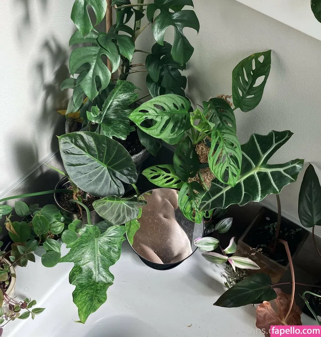 t4ych4 Onlyfans Photo Gallery 