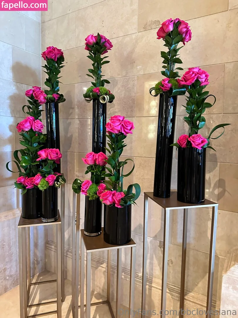 bbcloveslana Onlyfans Photo Gallery 