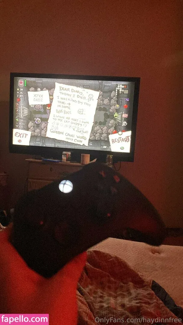 haydinnfree Onlyfans Photo Gallery 