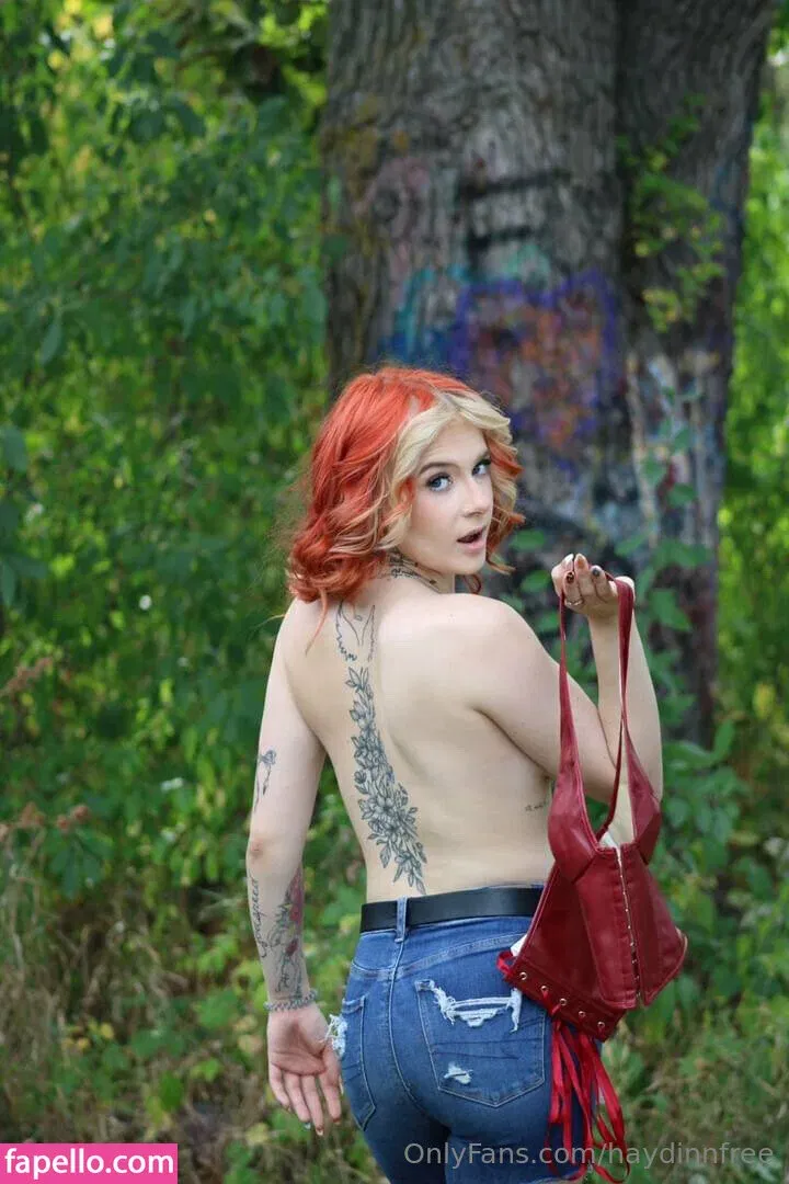 haydinnfree Onlyfans Photo Gallery 