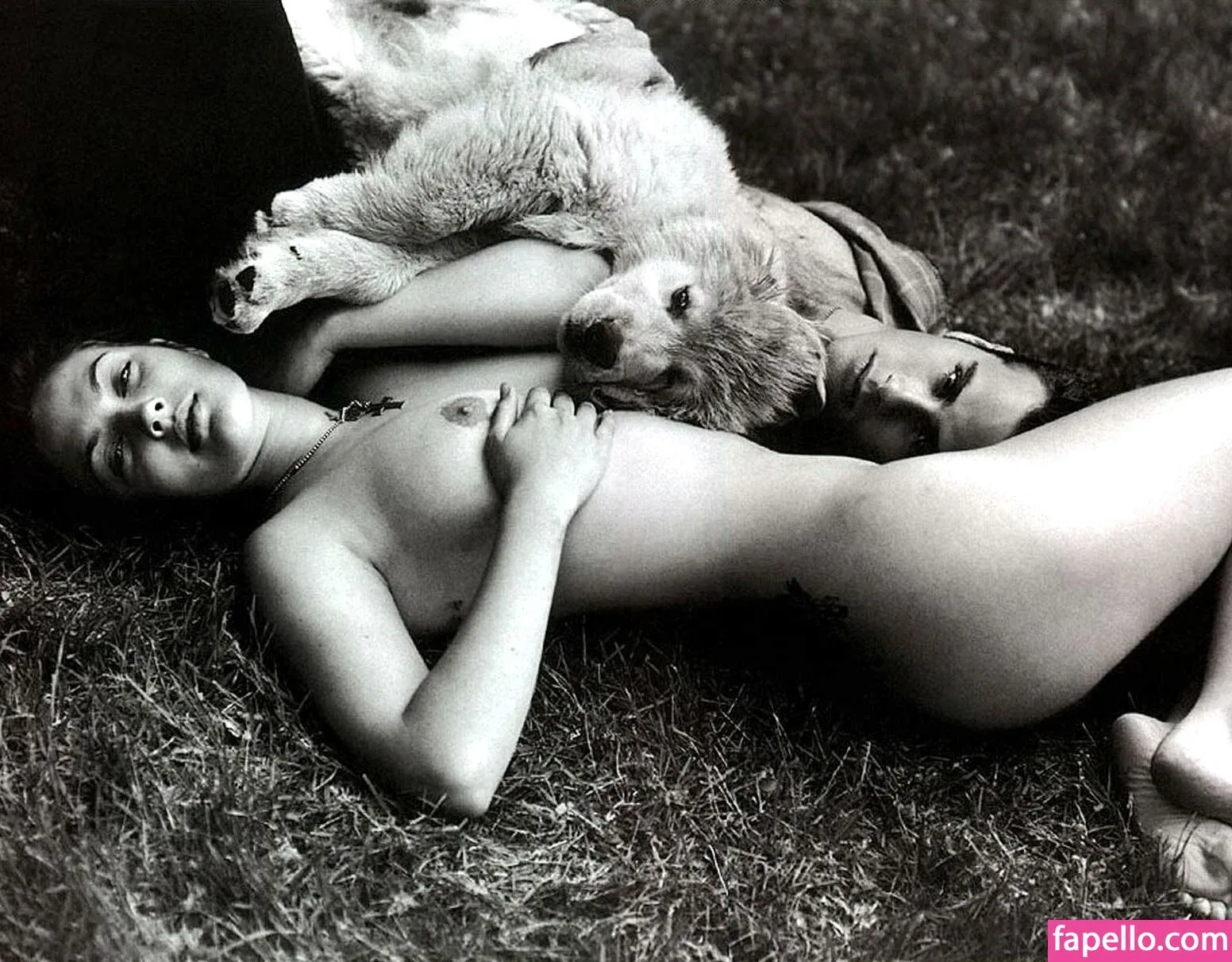 Drew Barrymore Onlyfans Photo Gallery 