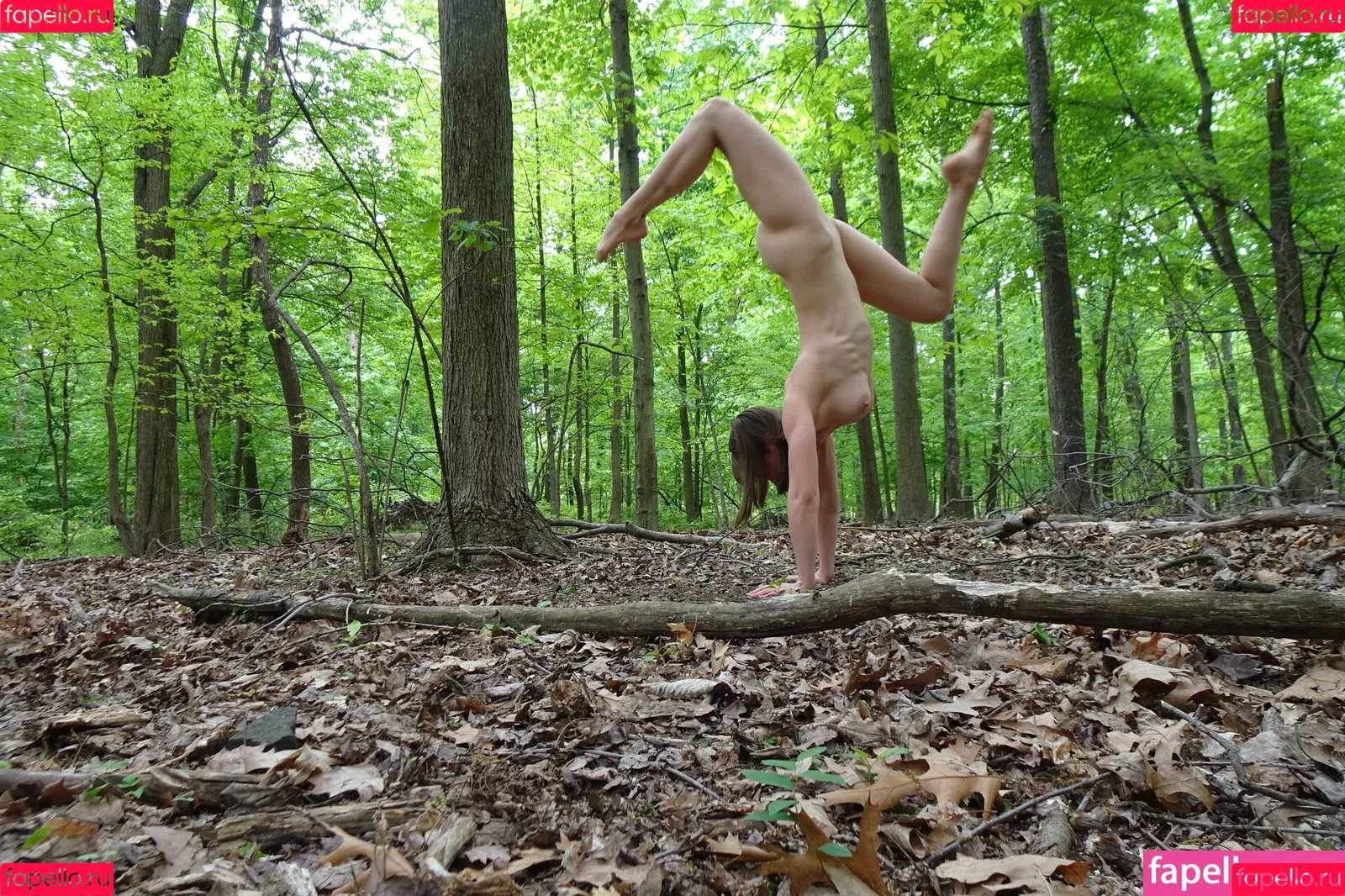 Green_Eyed_Nymph Onlyfans Photo Gallery 