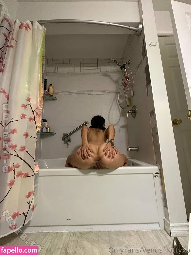 Venuskittyxo Onlyfans Photo Gallery 