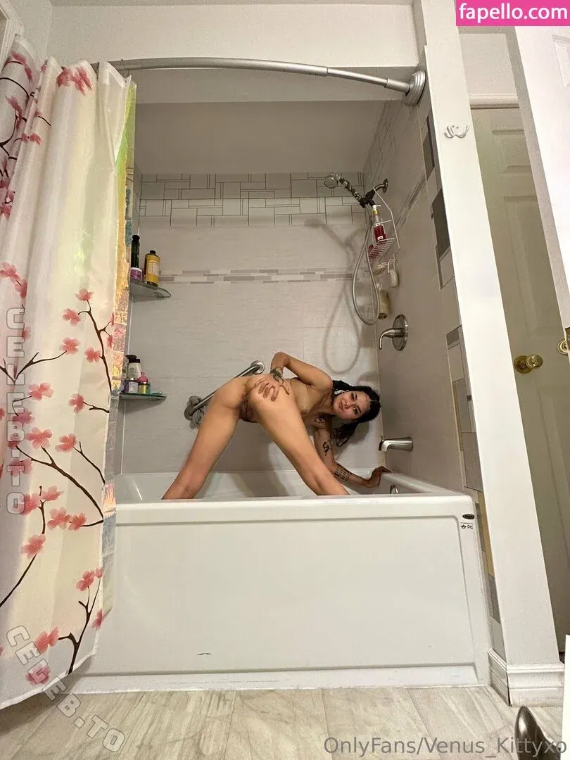 Venuskittyxo Onlyfans Photo Gallery 
