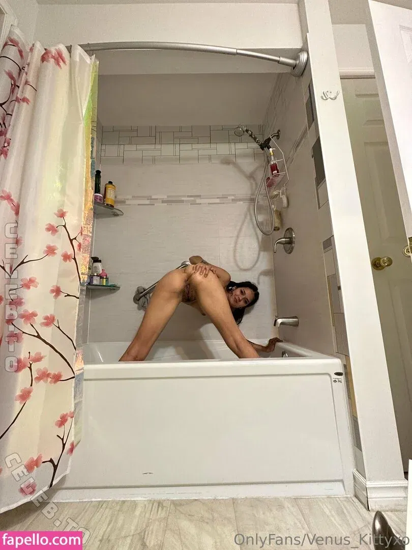 Venuskittyxo Onlyfans Photo Gallery 
