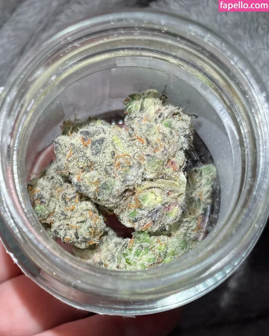 Kiley Kush Onlyfans Photo Gallery 