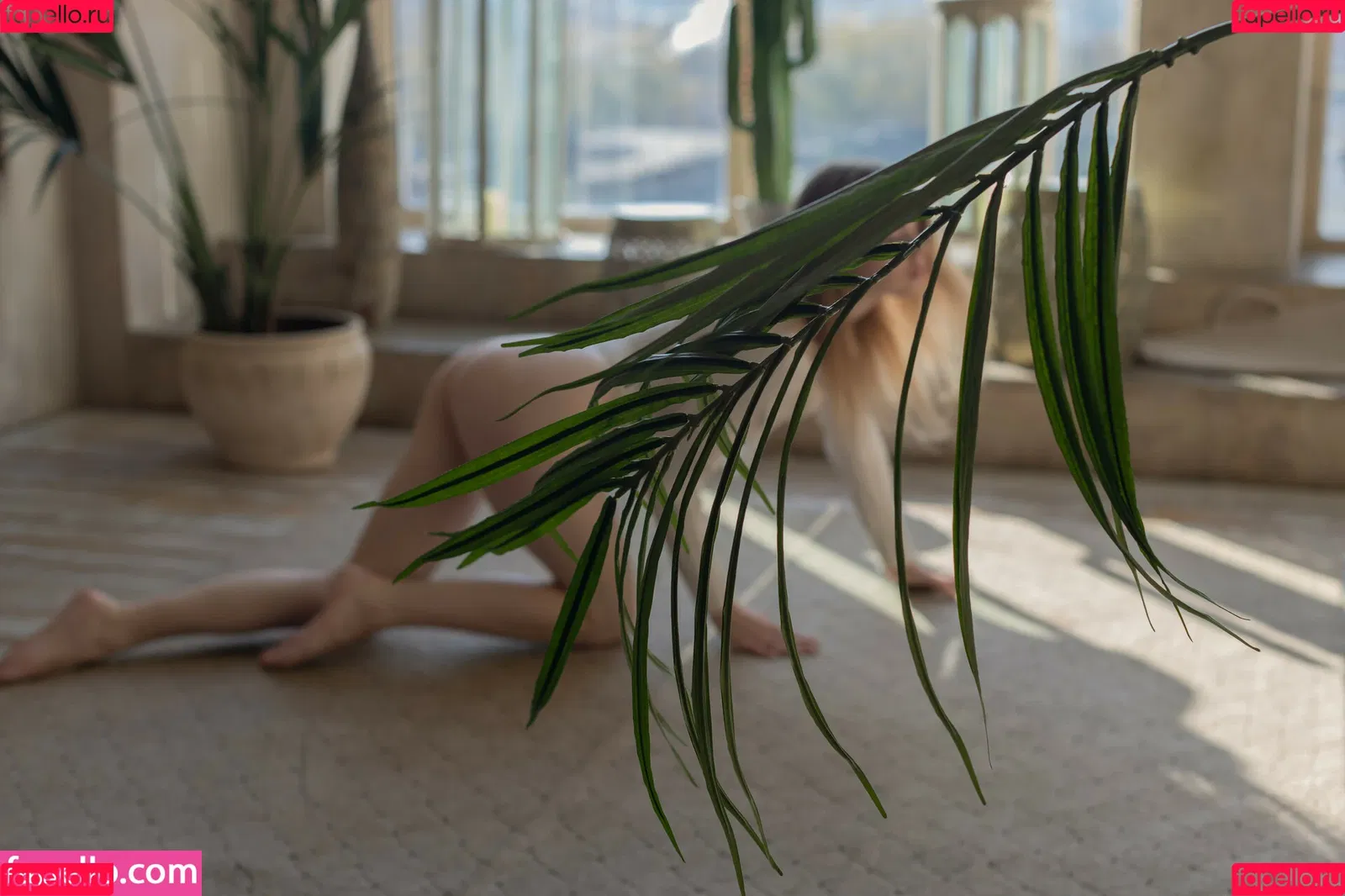Alice Li Onlyfans Photo Gallery 