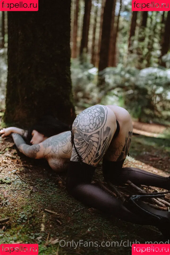 clubmood Onlyfans Photo Gallery 