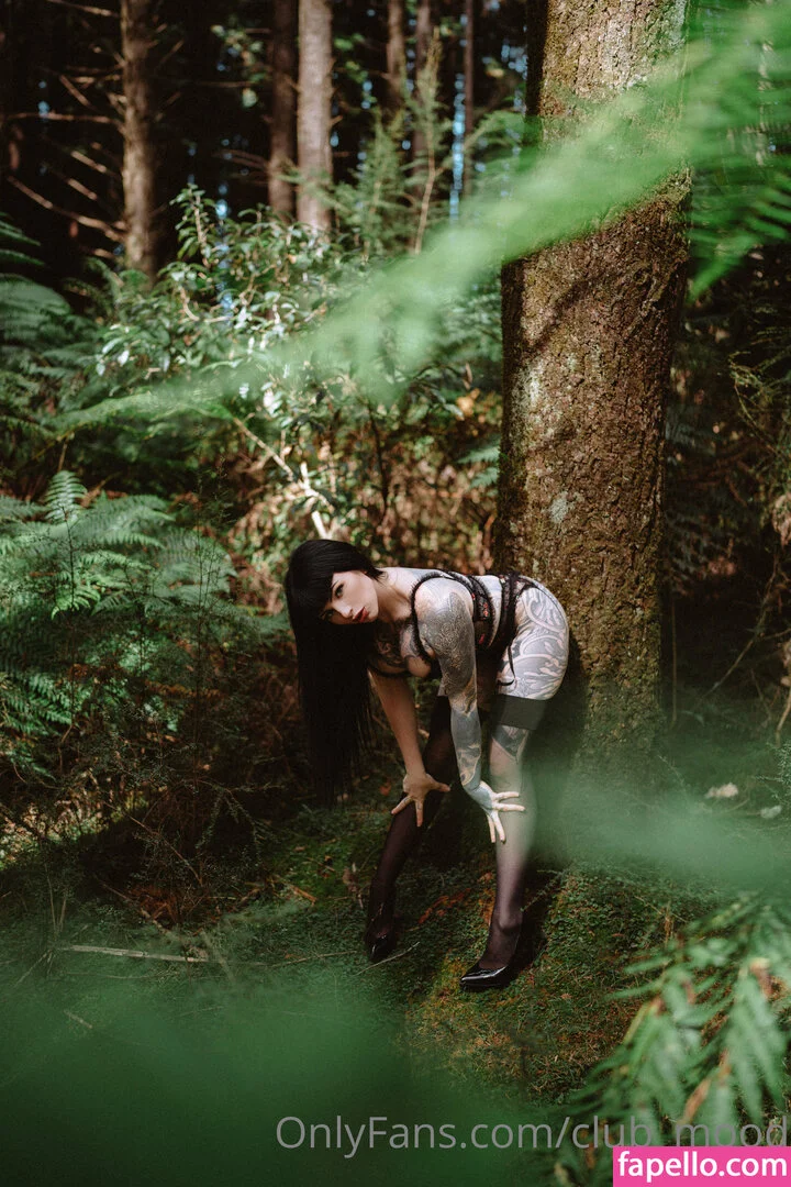 clubmood Onlyfans Photo Gallery 