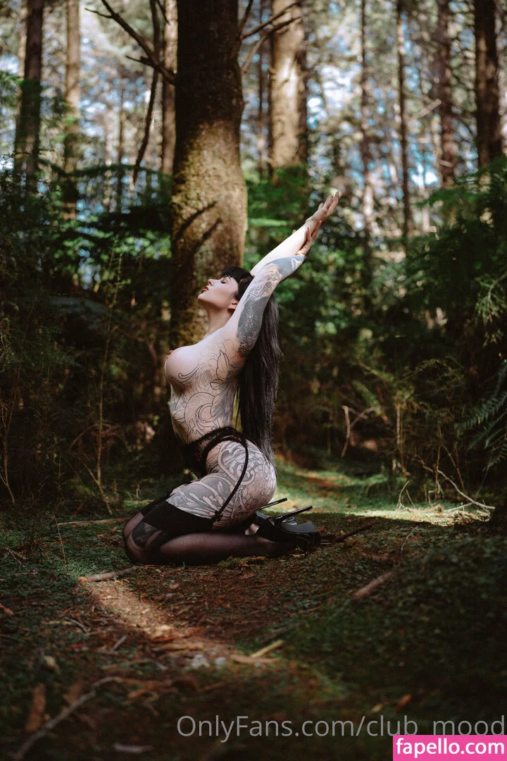 clubmood Onlyfans Photo Gallery 