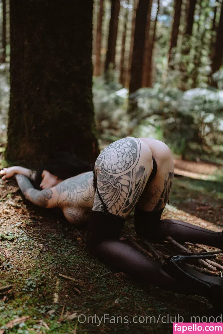 clubmood Onlyfans Photo Gallery 