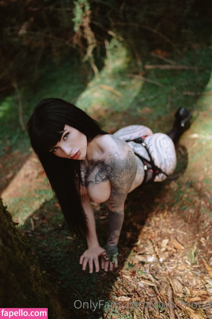 clubmood Onlyfans Photo Gallery 