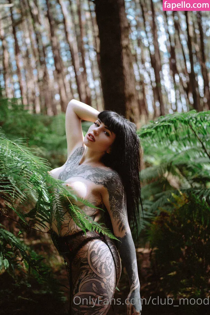 clubmood Onlyfans Photo Gallery 