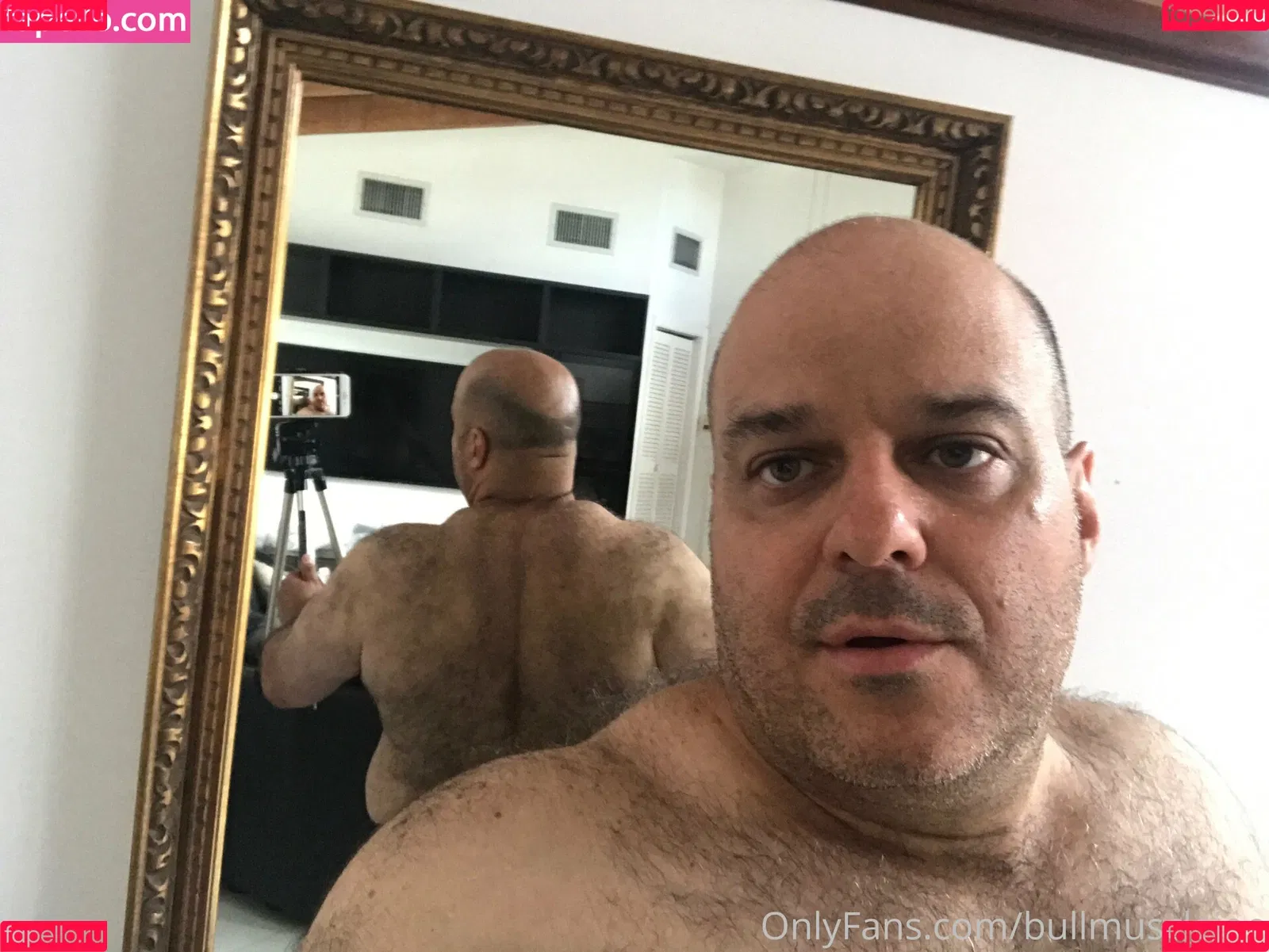 bullmusclejoe Onlyfans Photo Gallery 