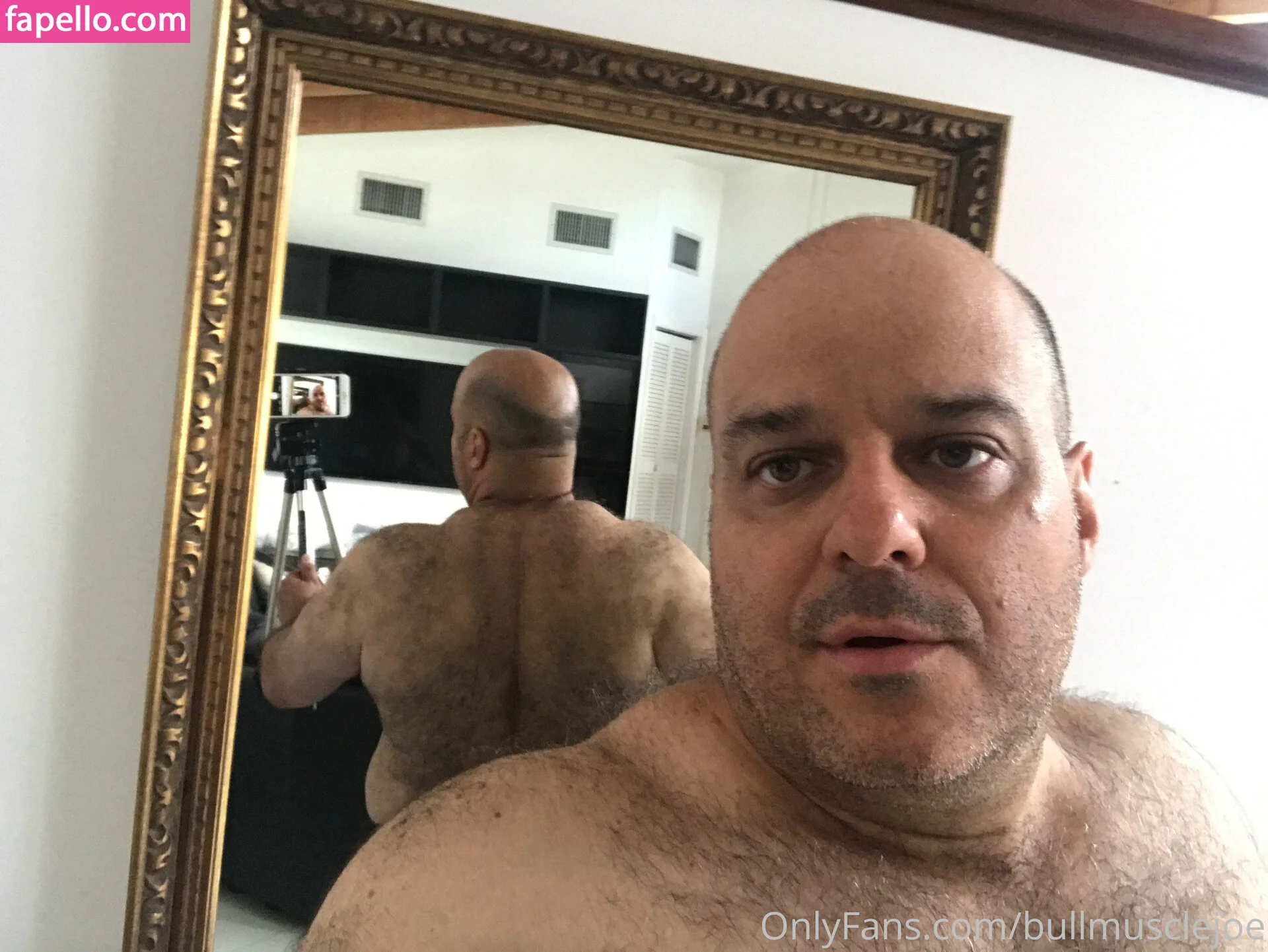 bullmusclejoe Onlyfans Photo Gallery 
