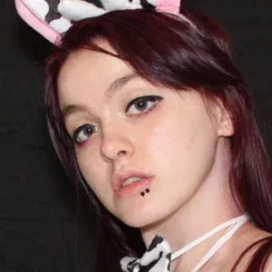 Littlekawaiimouse Onlyfans Photo Gallery 