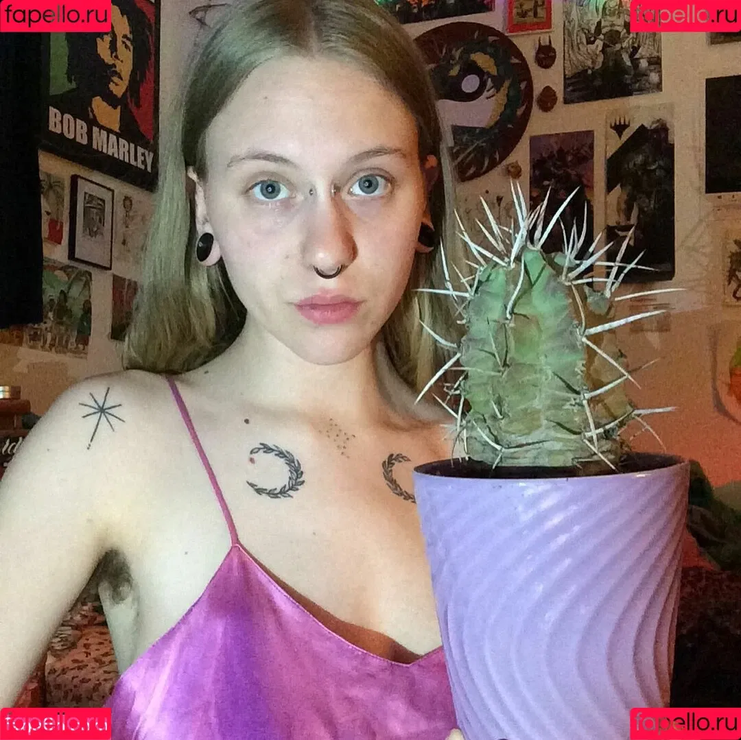 bigtiddiewerekitty Onlyfans Photo Gallery 